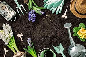 Black dirt with flower and gardening tools laid out